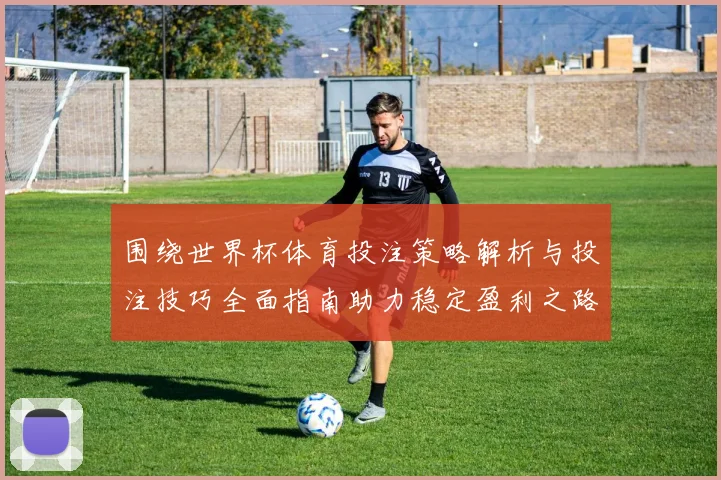 围绕世界杯体育投注策略解析与投注技巧全面指南助力稳定盈利之路