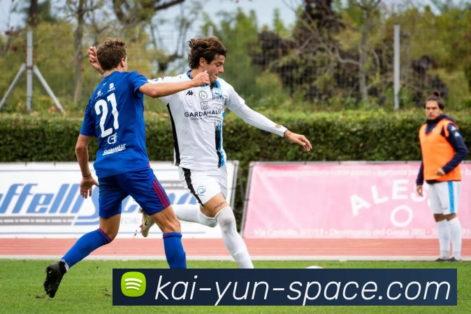 开云平台展示图